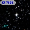 CF  7803