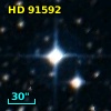 HD  91592