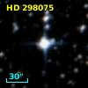 HD 298075