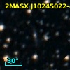 2MASX J10245022-4959567