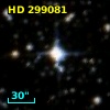 HD 299081