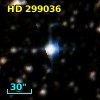 HD 299036