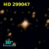 HD 299047