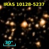 IRAS 10128-5237