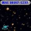 IRAS 10187-5237