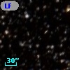 LF 13