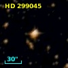 HD 299045