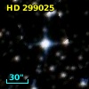 HD 299025