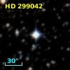 HD 299042