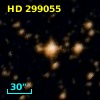 HD 299055