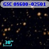 GSC 08600-02501