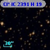 Cl* IC 2391      H      19