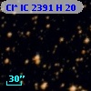 Cl* IC 2391      H      20