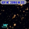 Cl* IC 2391      H      22