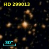 HD 299013