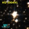 HD 300491