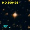 HD 300493