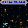IRAS 10135-5441