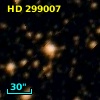 HD 299007