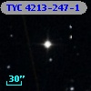 TYC 4213-247-1