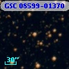 GSC 08599-01370