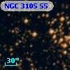 NGC  3105    55