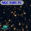 NGC  3105    75