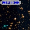 [M81] I-300