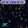Cl* IC 2391      H      23