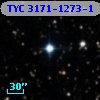 TYC 3171-1273-1