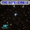 TYC 3171-1286-1