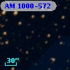 AM 1000-572
