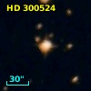HD 300524