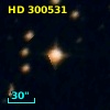 HD 300531