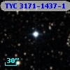 TYC 3171-1437-1