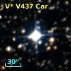 V* V437 Car
