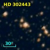 HD 302443