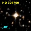 HD 304700