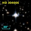 HD 304666