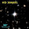 HD 304691