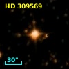 HD 309569