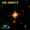 HD 309572
