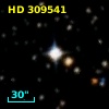 HD 309541