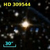 HD 309544