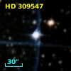 HD 309547