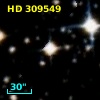 HD 309549