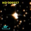 HD 309557