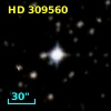 HD 309560