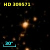 HD 309571