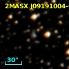 2MASX J09191004-6149291